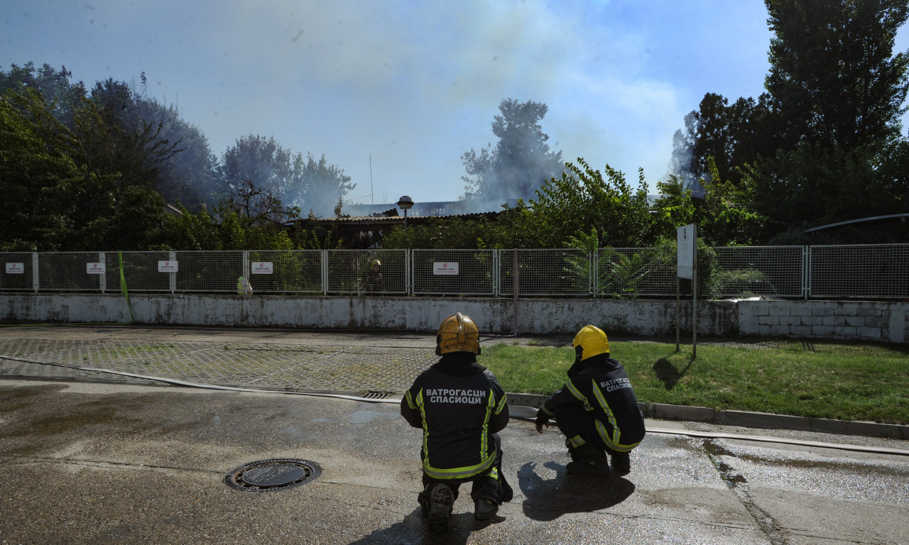 Dokaz zašto je VAŽNO OSTATI PRIBRAN: Dečak tonuo u ŽIVO BLATO, drugovi reagovali na pravi način