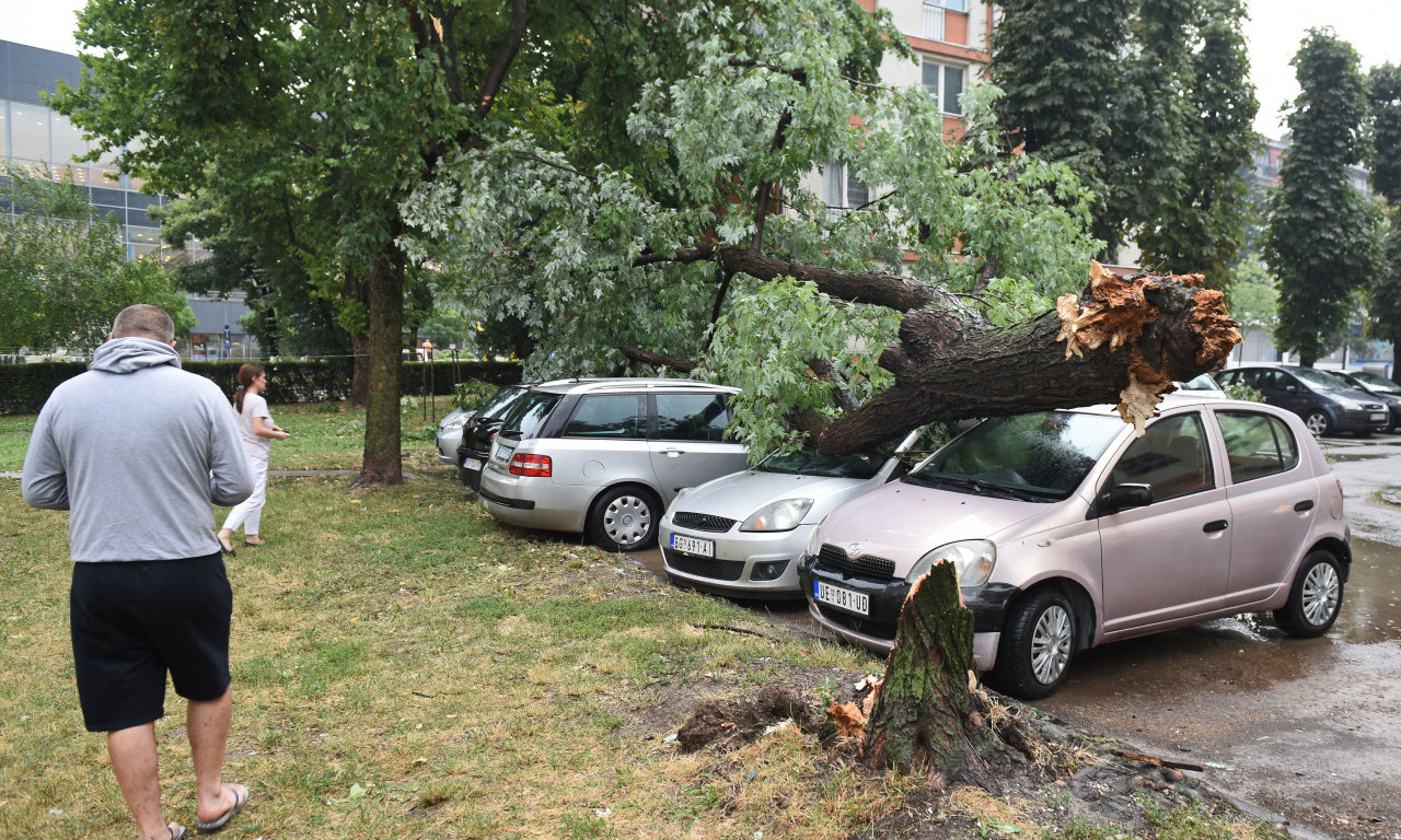 GRAD UDARAO GDE JE STIGAO, vetar čupao drveće i nosio krovove