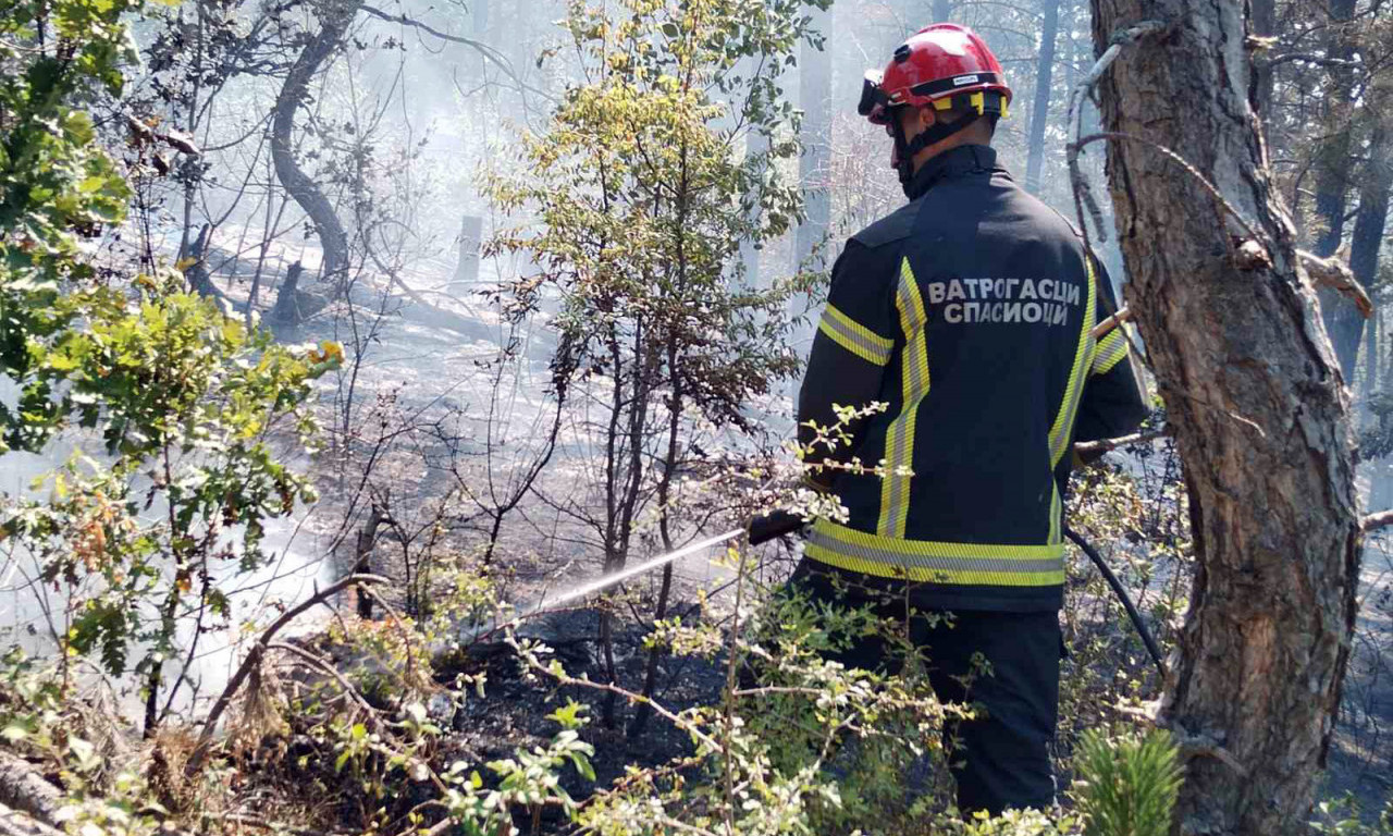 U avgustu evidentirano više od 1.700 požara - MUP apeluje na građane da ne pale rastinje