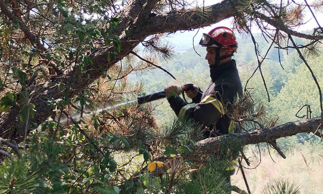 POŽAR kod Pirota POD KONTROLOM - trenutno se radi na dogašavanju