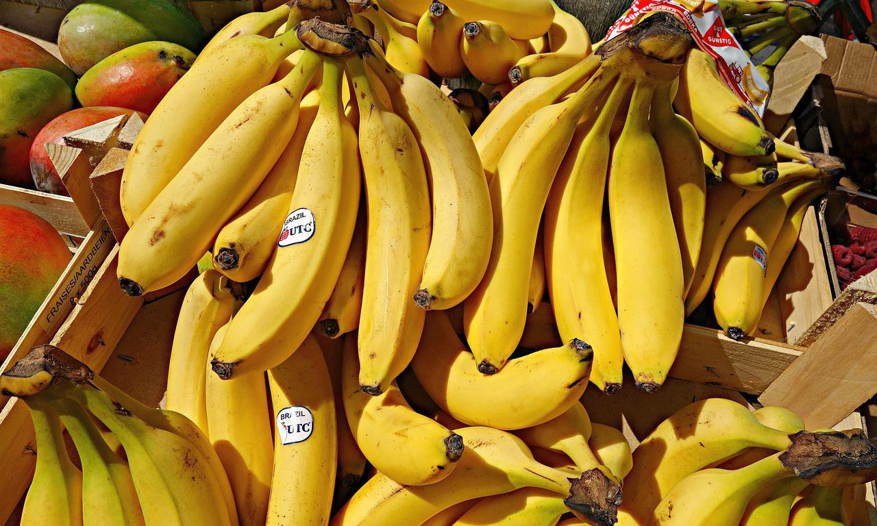 Hrvatska policija PRONAŠLA 30 kilograma KOKAINA u kutijama sa BANANAMA