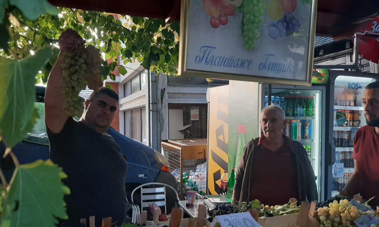 Ko hoće da RADI, VINOGRAD nek SADI - Glišićima iz Topole rodio GROZD težak 4 KILOGRAMA