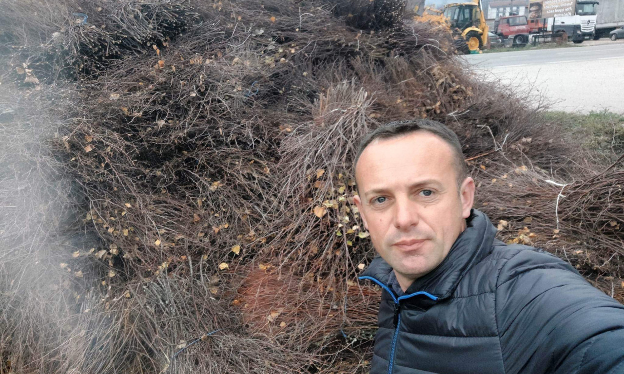 Kad završi posao na njivi Njegoš se okrene pravljenju BREZOVIH metli - posao LAK, zarada DOBRA