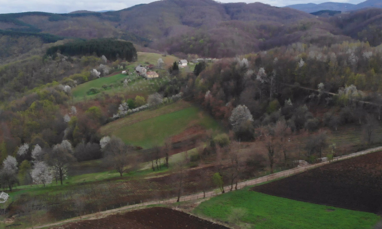 Prelepa JELICA očarala Turke, ali je umesto ROPSTVA izabrala SMRT: Da li je planina baš tako DOBILA IME?