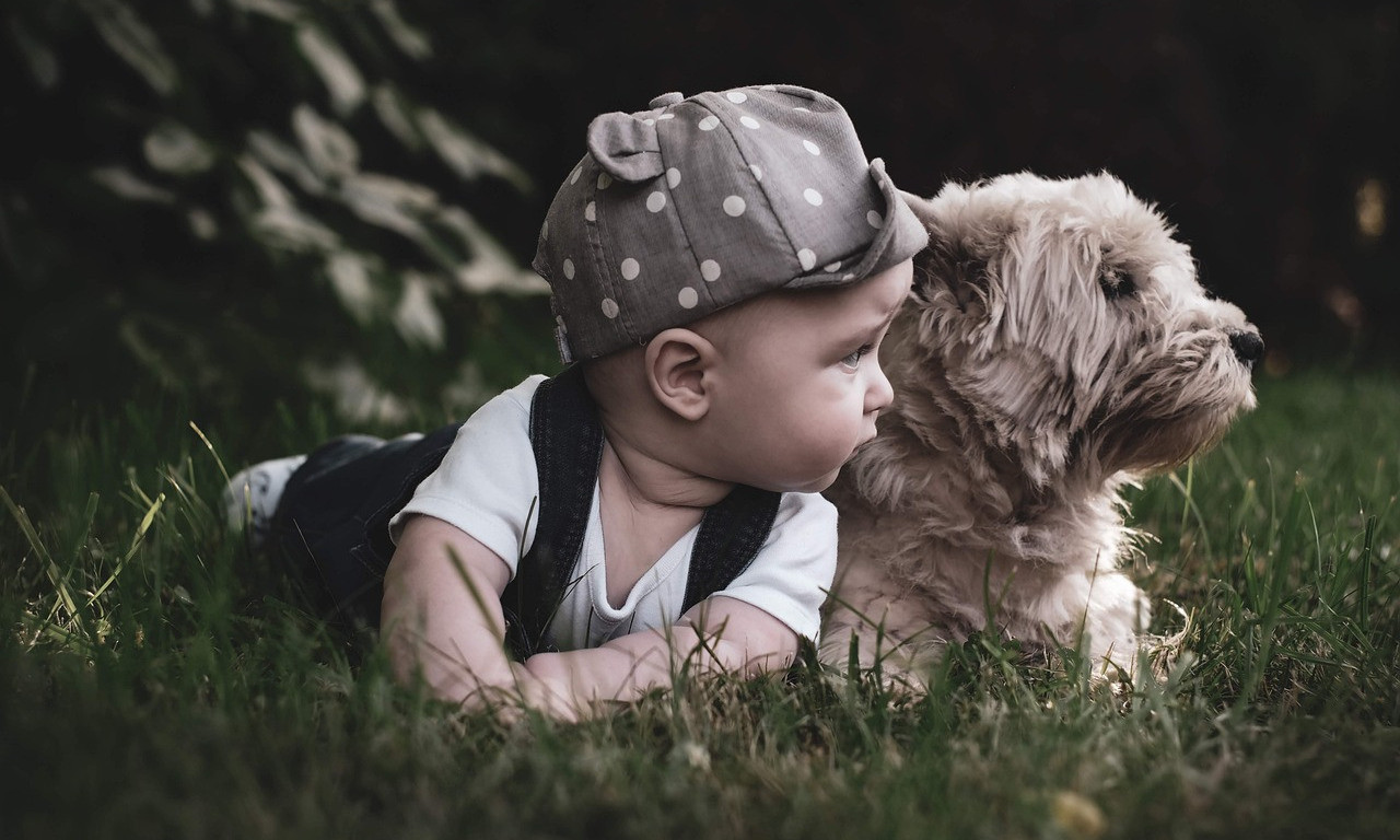 BEBE i KUCE – najslađa stvar na svetu 😊