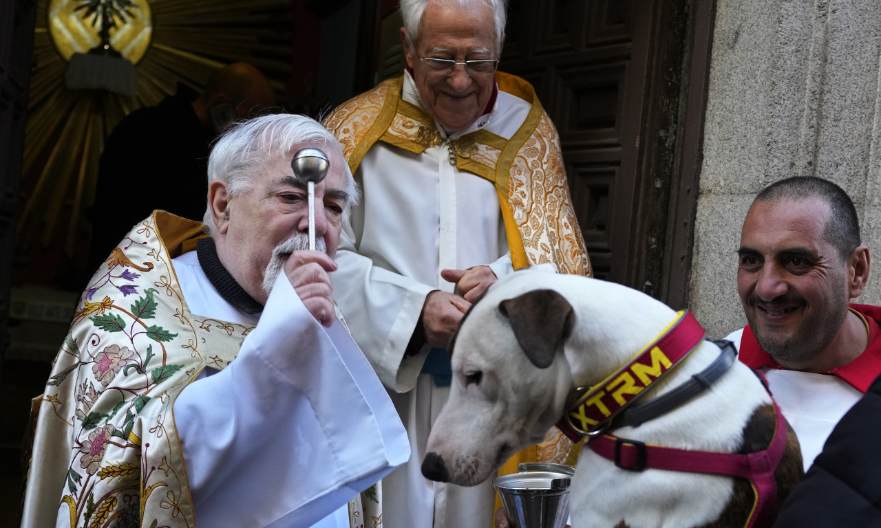 Sveštenik BLAGOSLOVIO kućne LJUBIMCE u Madridu na TRADICIONALNOJ ceremoniji