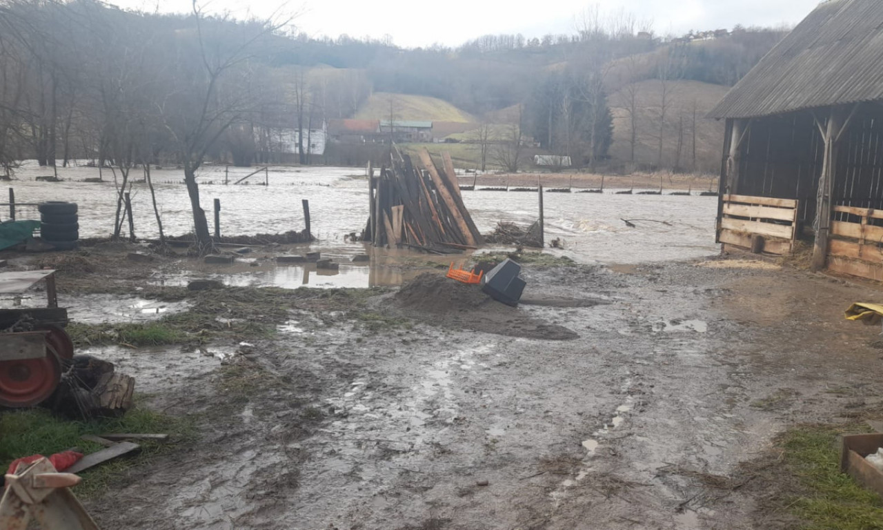 OVCE su nam se UDAVILE, jurili smo da SPASEMO šta možemo: Bjelica drugi put UNIŠTILA domaćinstvo Matovićima