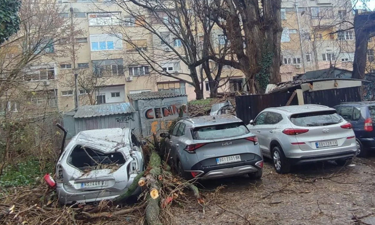 Počupano DRVEĆE, OLUJA i GRAD: Otkazani i vozovi zbog NEVREMENA koje je paralisalo Srbiju