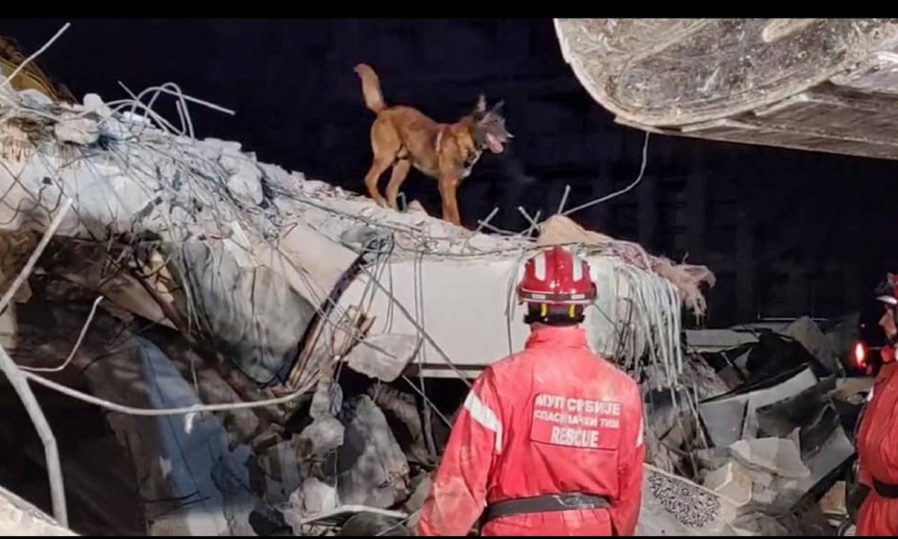 Heroj ZIGI: PAS srpskog tima u Turskoj SPASAO još jedan ŽIVOT