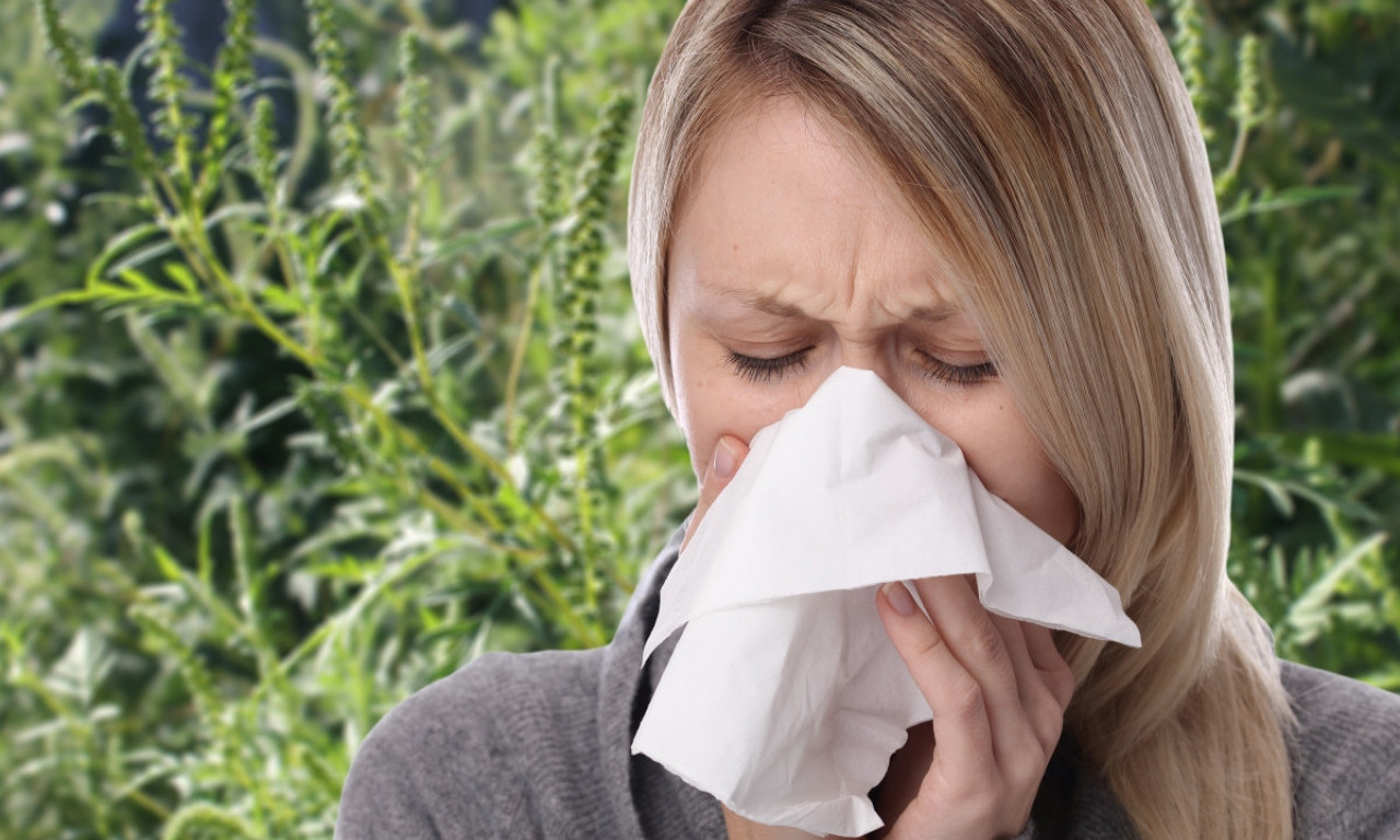 Treba da budemo SREĆNI ŠTO JE HLADNO, jer čim temperatura malo poraste, "ubiće" nas POLENSKE ALERGIJE