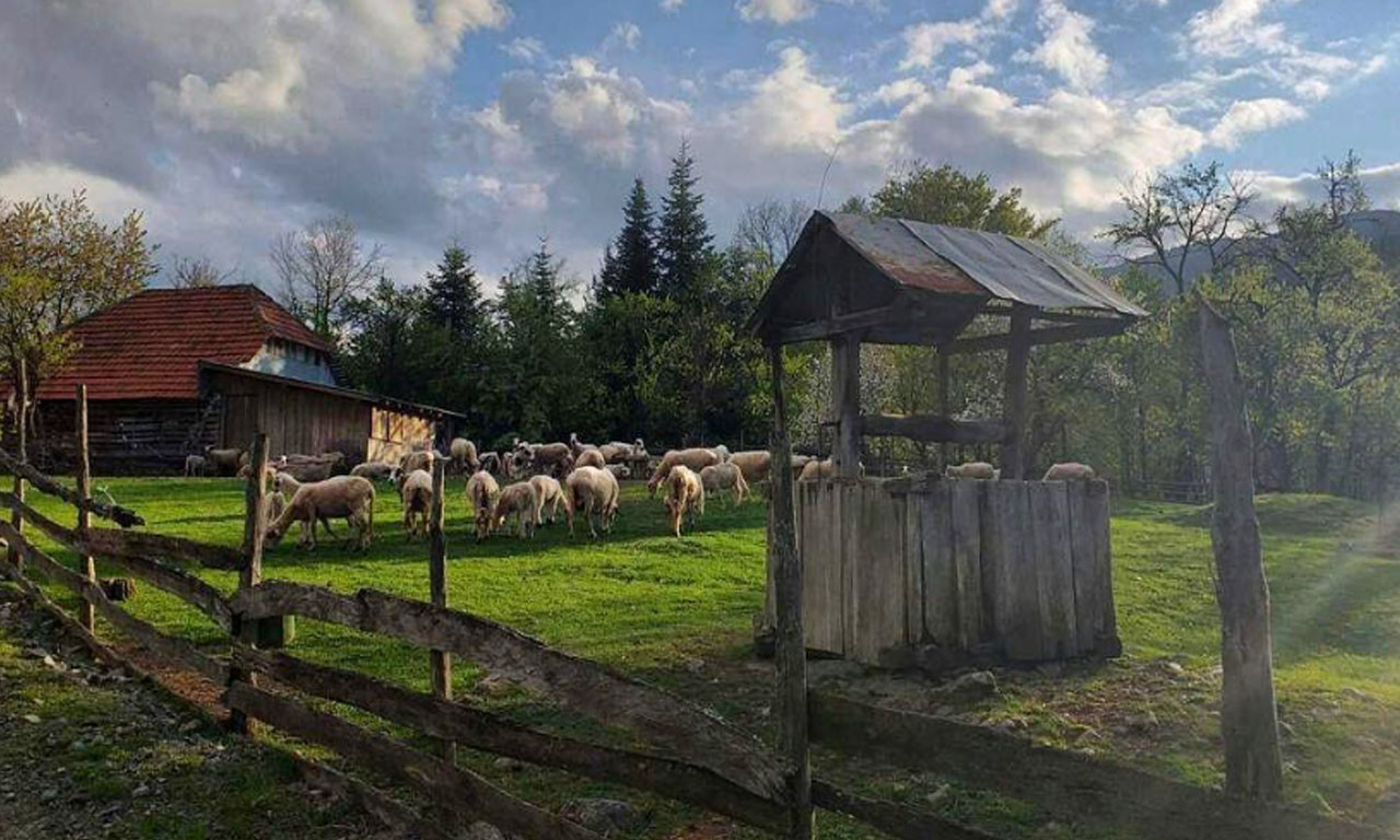 ŠTALA je - SIGURNOST: Vučić objavio POBEDNIČKU fotografiju u okviru KONKURSA Najlepše domaćinstvo Srbije