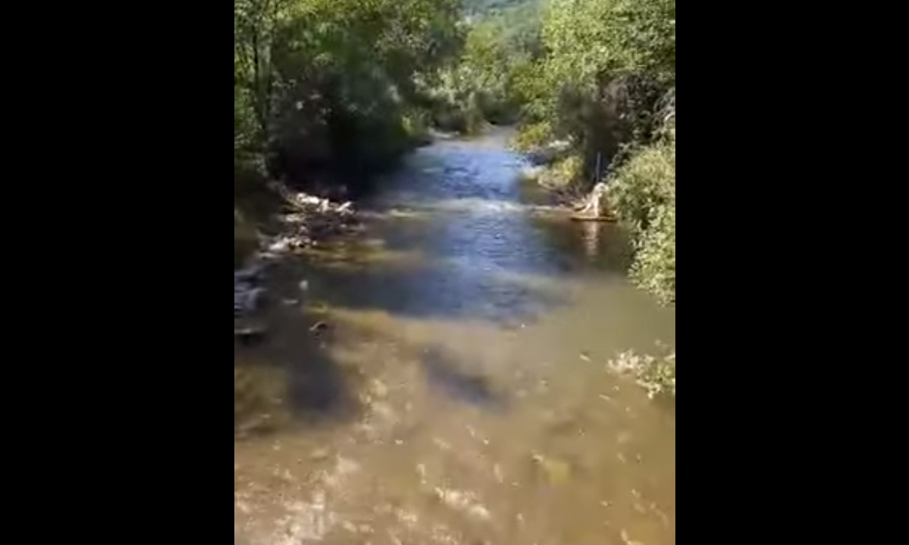 Nema više potrebe za BARIKADAMA: Poništena DOZVOLA za IZGRADNJU MHE Besko kod Vlasotinca