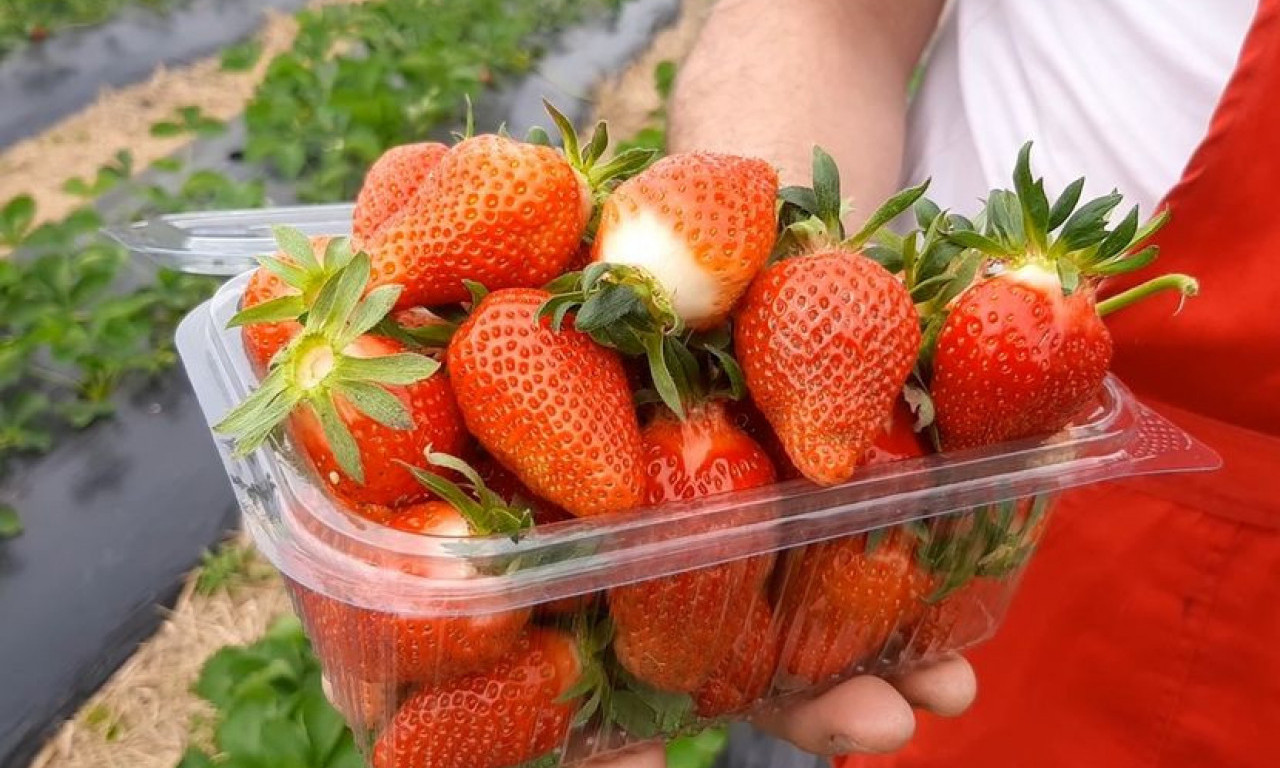 KO HOĆE DA JEDE JAGODE U FEBRUARU, MORAĆE DA PLATI I to debelo - evo koliko vam para treba za kropicu od pola kilograma