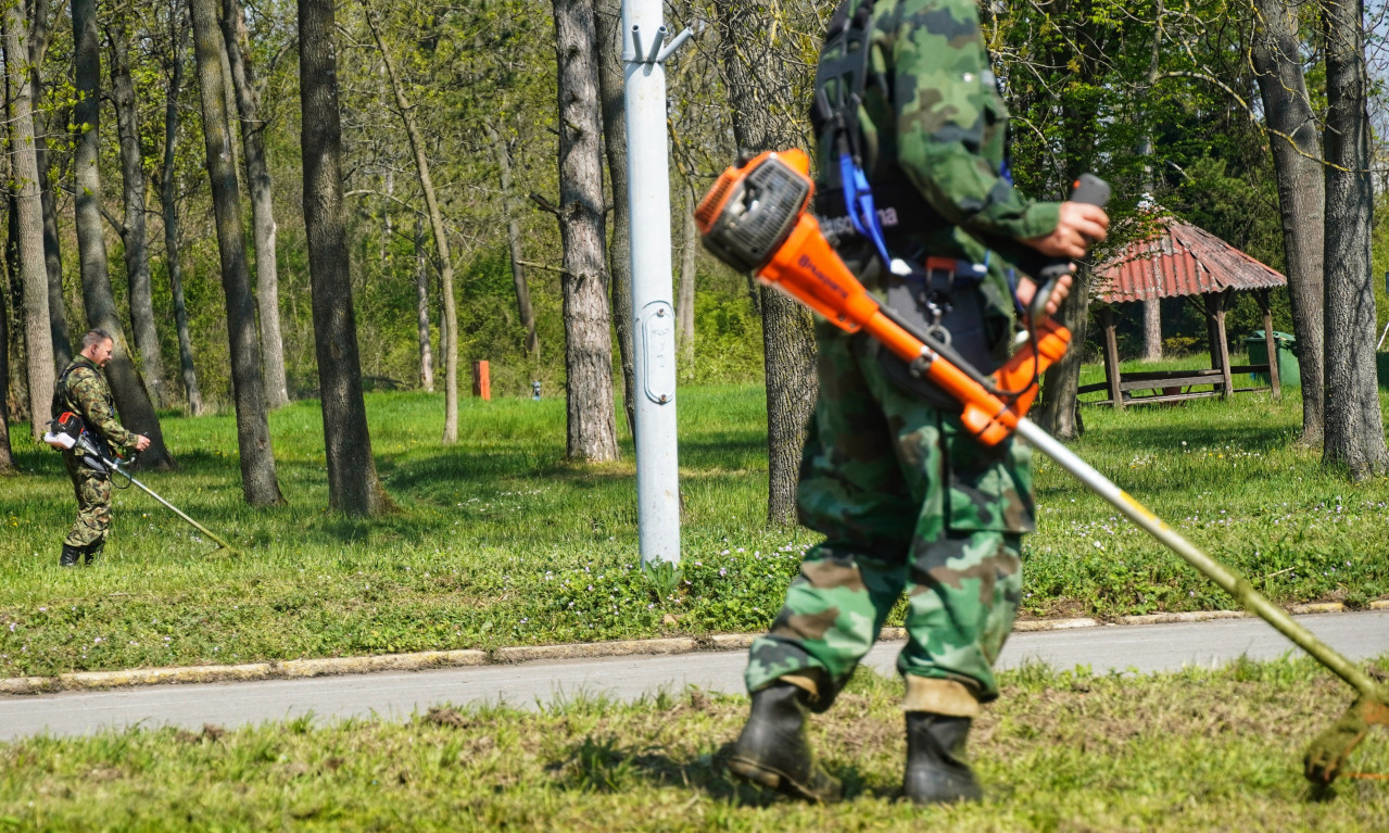 NE MOŽE drugačije, potrebna OZBILJNA intervencija: Ministarstvo, VOJSKA i MUP pomažu u suzbijanju AFRIČKE KUGE svinja