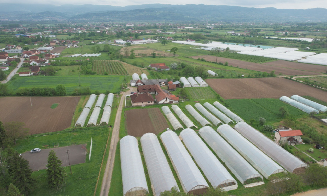 Kako se na MALIM POVRŠINAMA ostvaruje velika zarada? GRAM ovog ZAČINA KOŠTA 10 EVRA, a BIZNIS CVETA u Srbiji