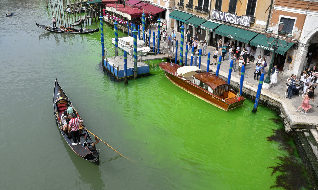 Venecija UPOZORAVA turiste: NE HRANITE ptice - postale su sve AGRESIVNIJE