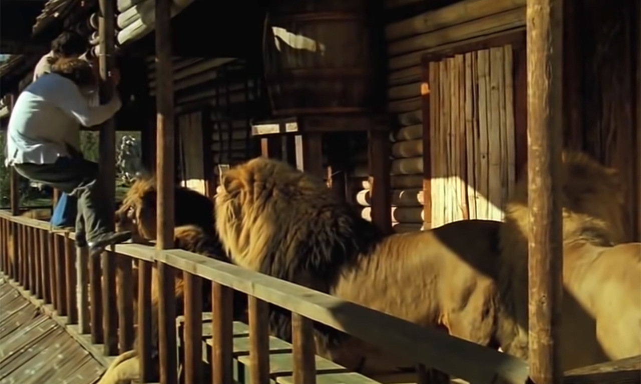 Nijedna životinja NIJE POVREĐENA tokom snimanja, ali 70 ljudi JESTE: Ovo je NAJOPASNIJI film ikada snimljen