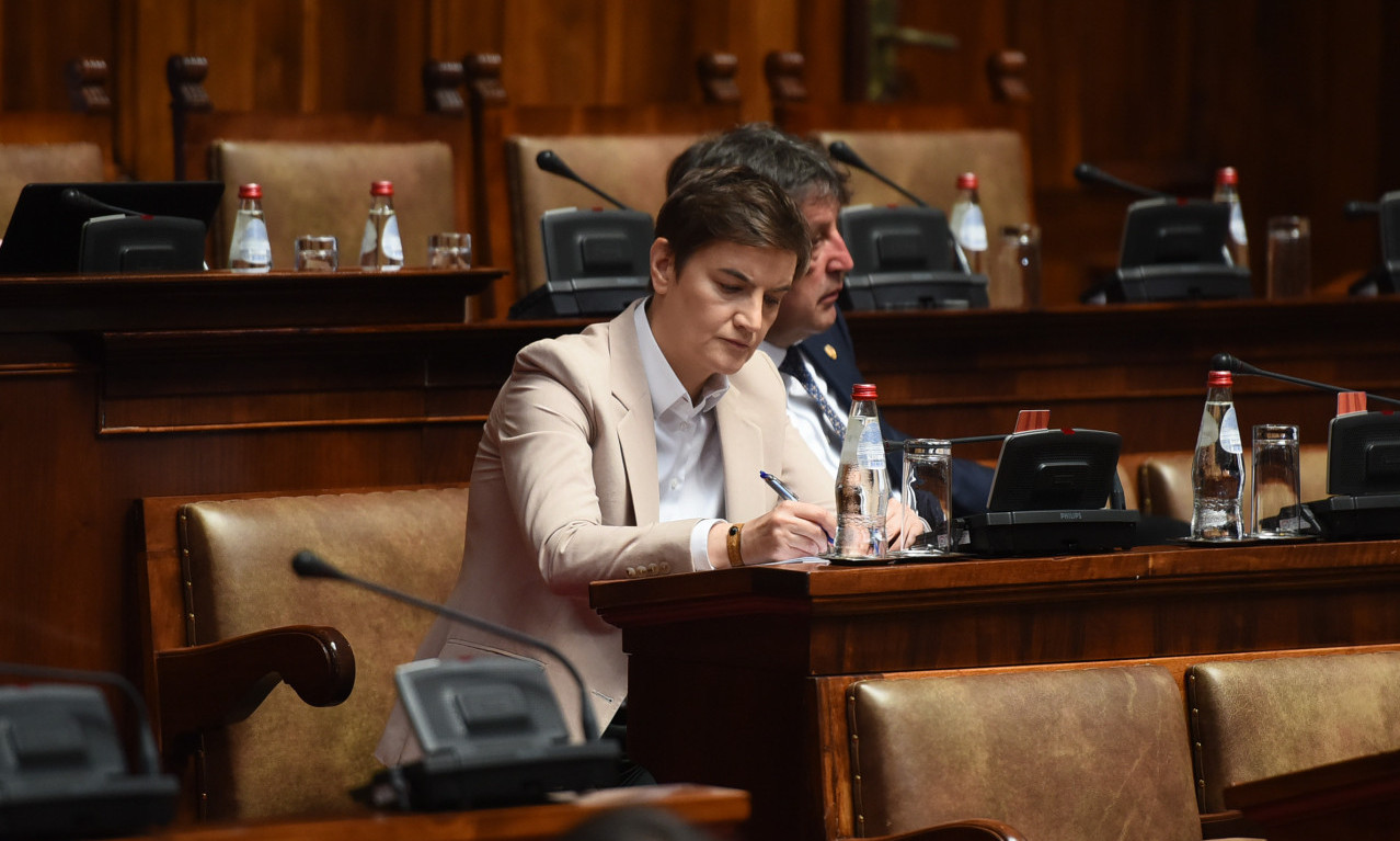 BRNABIĆ u Skupštini: NEĆETE RAZGOVOR, a hoćete VLADAVINU PRAVA?