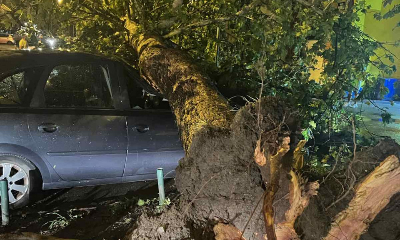 NEZGODA NA PARKINGU U BEGRADU! Drvo palo na automobil (FOTO)