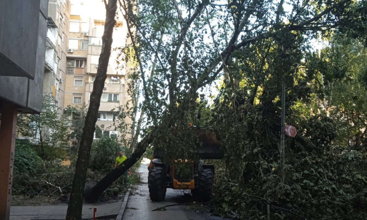 SUPERĆELIJSKI OBLAK IZ HRVATSKE STIŽE U SRBIJU?! Tamo čupao stabla, ulice poplavljene!