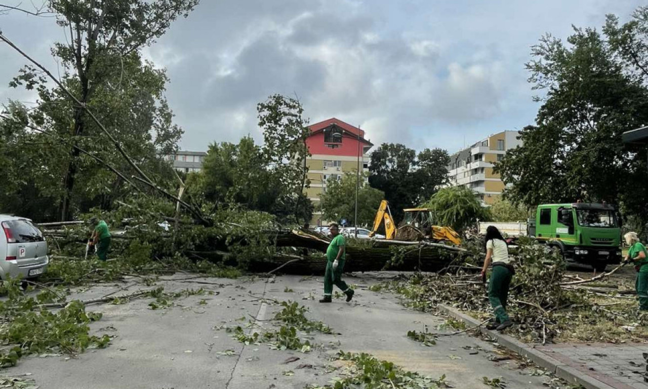 DAN posle NEVREMENA: Ogromna šteta širom SRBIJE, tri kuće IZGORELE u ZAJEČARU, pao dalekovod...