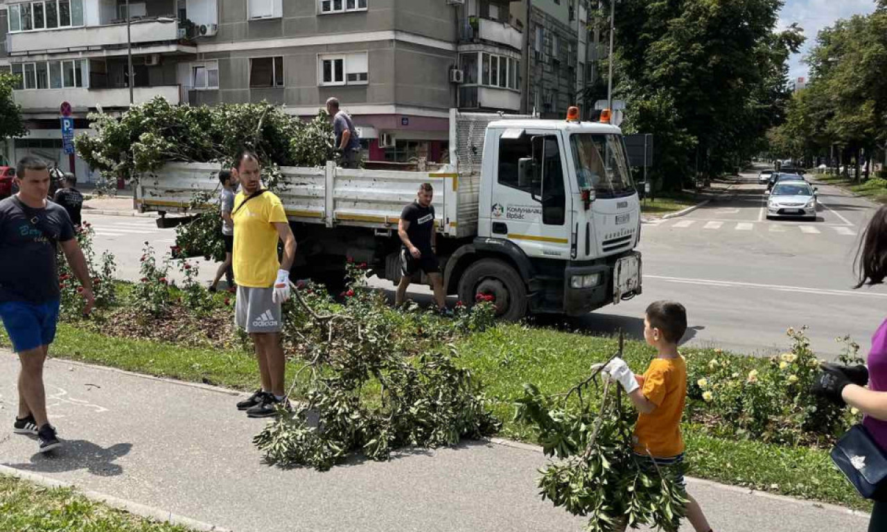 RADNA AKCIJA u Novom Sadu: ODBOJKAŠI, košarkaši, UGOSTITELJI, volonteri - SVI ČISTE grad od posledica OLUJE