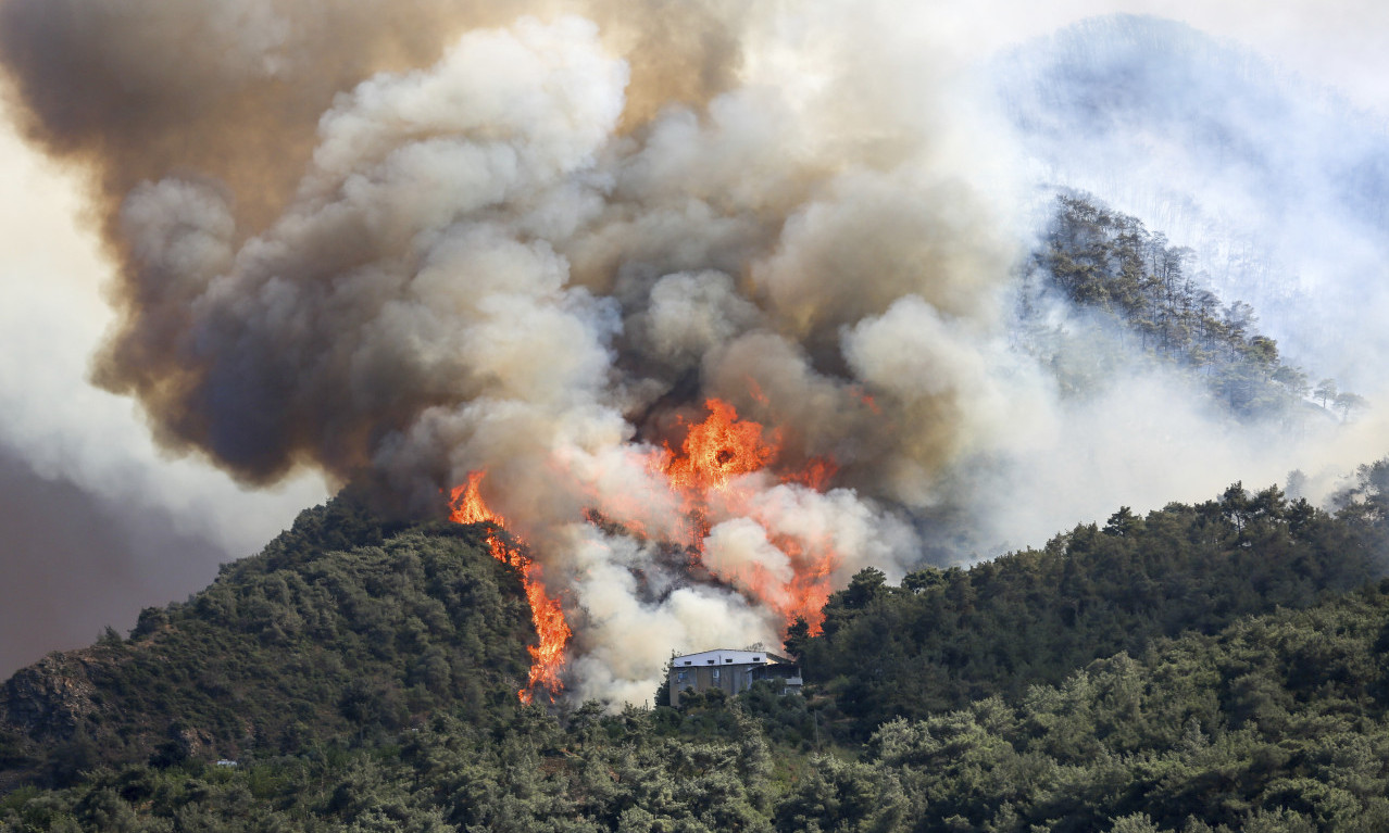 Italija GORI: Veliki POŽARI u Kalabriji, na SICILIJI temperatura 47 STEPENI