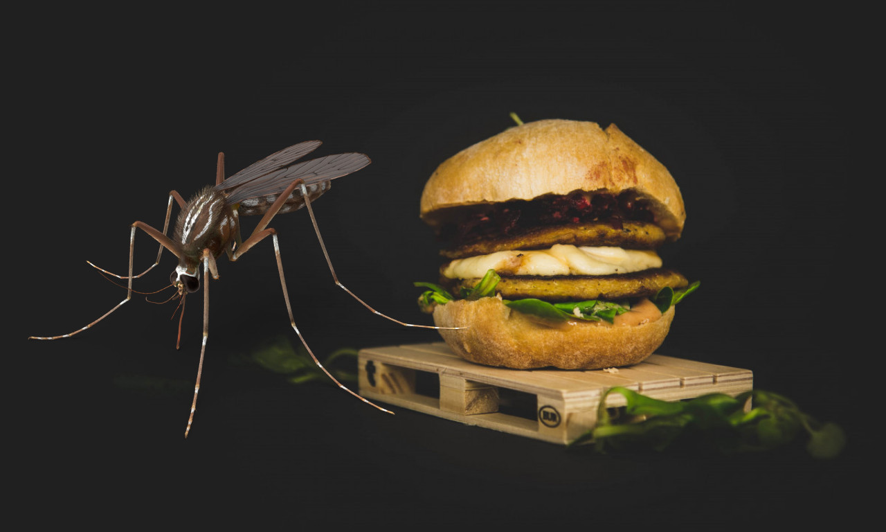 A GROZNICA Zapadnog Nila, ZIKA VIRUS... ma koga briga! Afrikanci od komaraca prave BURGERE i KUNGA KOLAČ