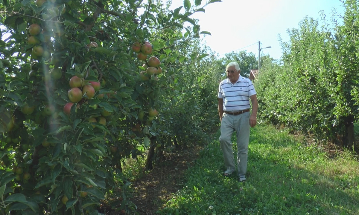 Svako preterivanje OBIĆE SE O GLAVU: Stručnjak objasnio KAKO se pravilno koriste PESTICIDI