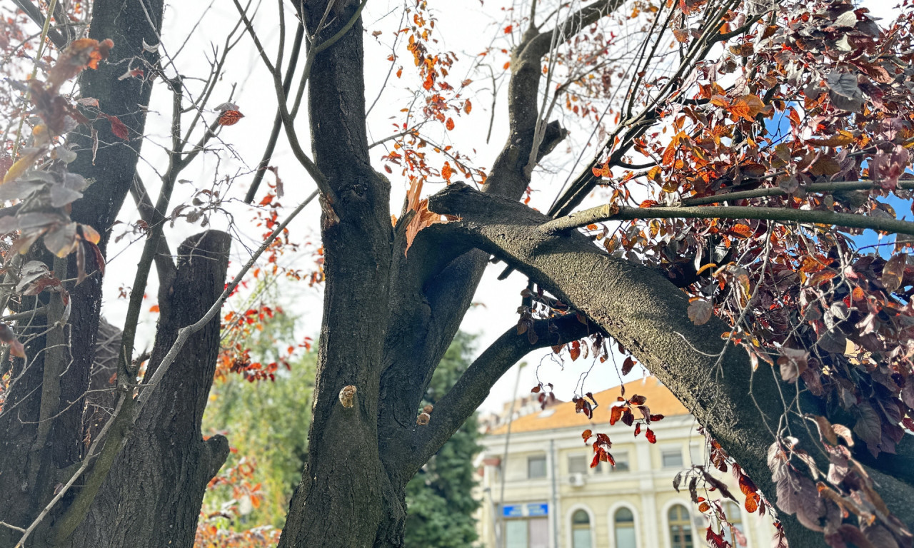 DEO SRBIJE PRVI NA UDARU! Temperatura pada ISPOD 10 stepeni!