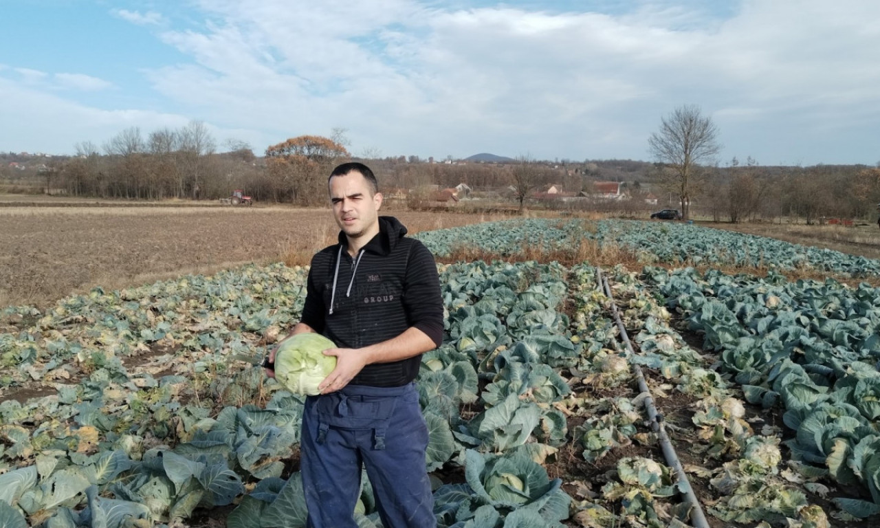 KUPUS na KUĆNOM PRAGU: Povrtar Uroš ima HIT DOSTAVU u Čačku