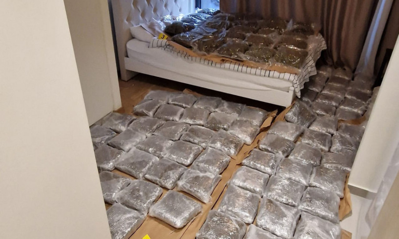 Policija UPALA U STAN i pronašla čak 130 KILOGRAMA MARIHUANE: Pogledajte SNIMAK HAPŠENJA