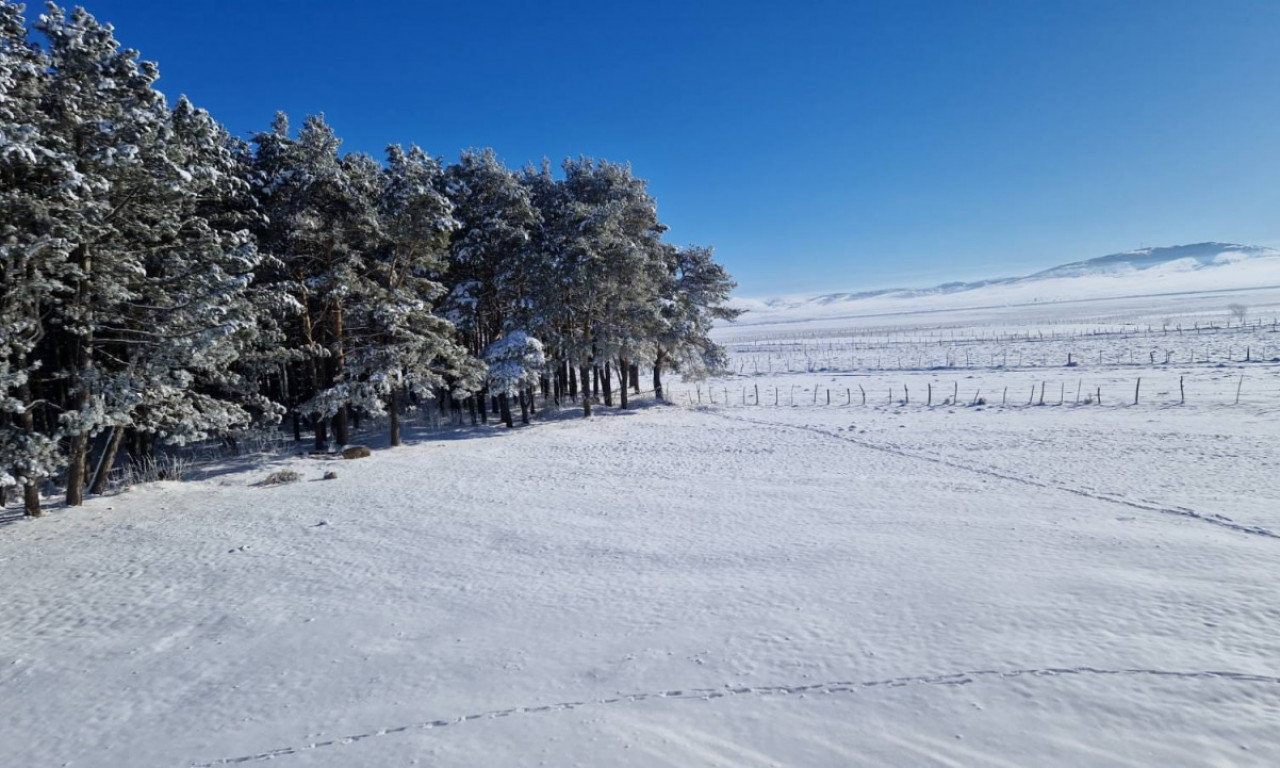 Koliko KUBIKA DRVA treba da se "preživi" minus 27 stepeni? Evo šta kažu meštani NAJLEDENIJEG mesta u Srbiji