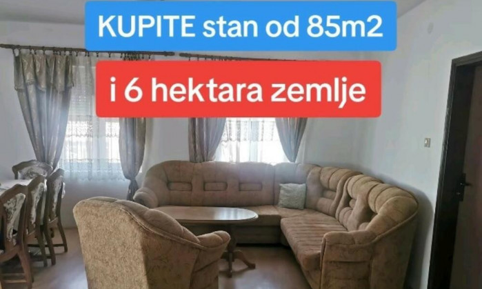 STAN OD 85 KVADRATA I 6 HEKTARA ZEMLJE ZA SAMO 28.000 EVRA! Šuma, voćnjak, plac, ali TO NIJE SVE!