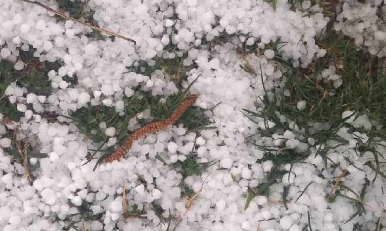 Strašno NEVREME pogodilo je ove delove SRBIJE! Grad "tukao" sa NEBA VIŠE OD POLA SATA (FOTO)