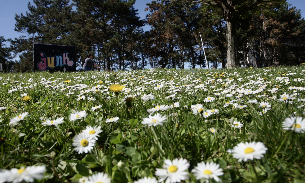 I dalje LETNJE TEMPERATURE! Danas do čak 31 stepen