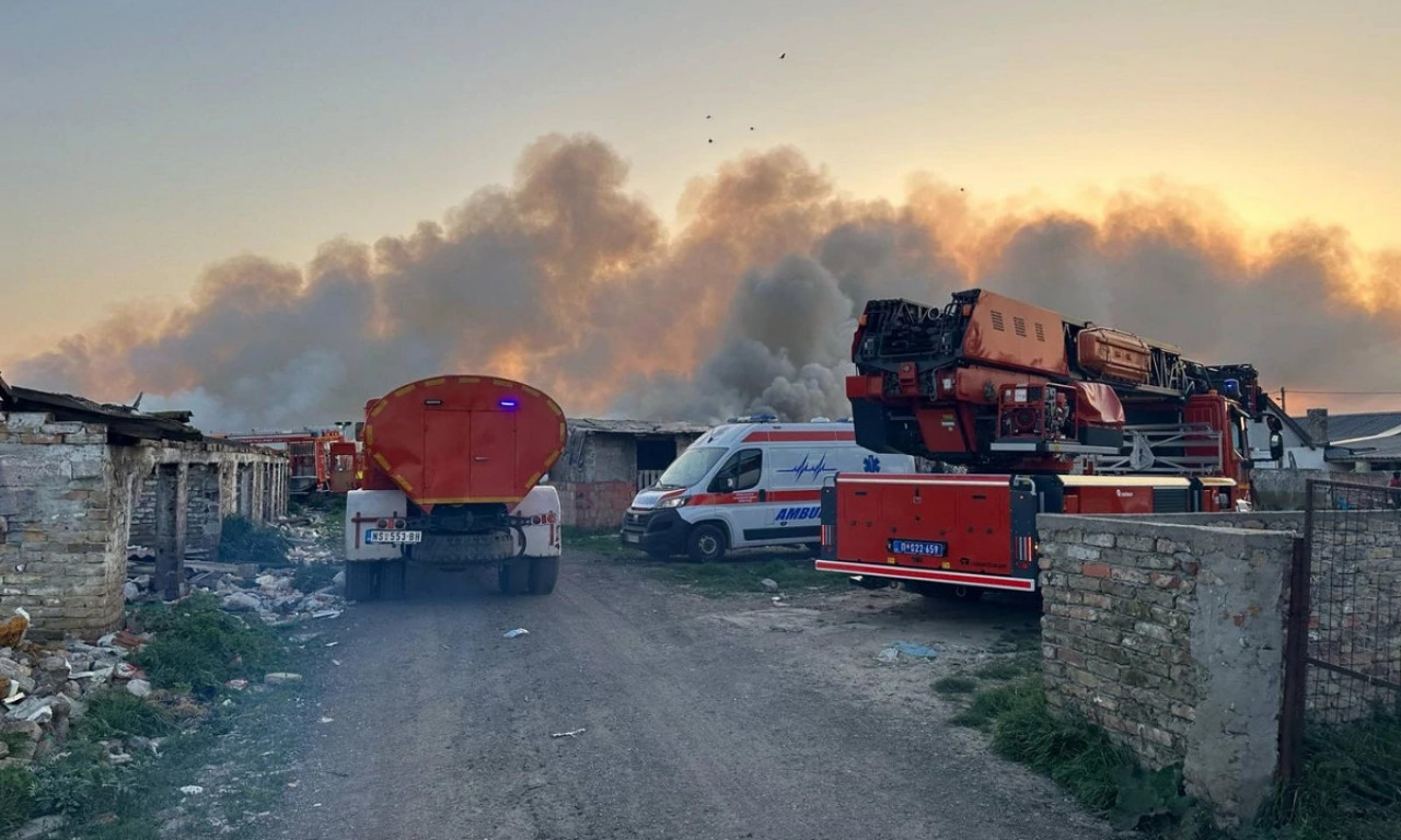 VELIKI POŽAR U NOVOM SADU! Pogledajte kako se vatrogasci bore sa stihijom koja guta NASELJE (FOTO+VIDEO)