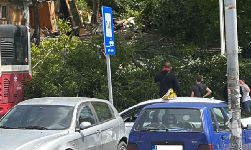 DRAMA U BEOGRADU! Krošnja drveta PALA NA ŽENU kod autobuske stanice (FOTO)