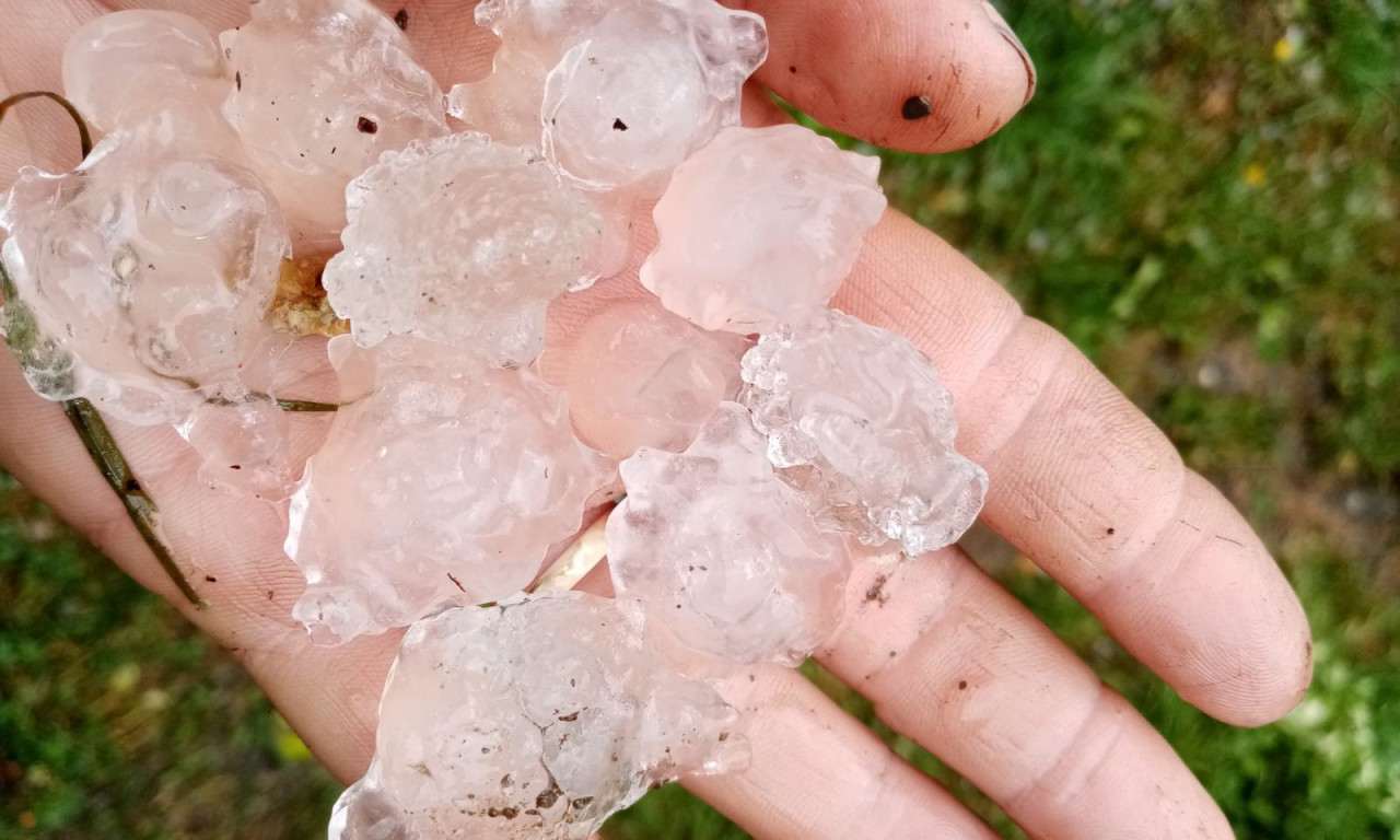 Nezapamćeno NEVREME opustošilo ivanjički kraj! MALINJACI potpuno UNIŠTENI, domaćini očajni