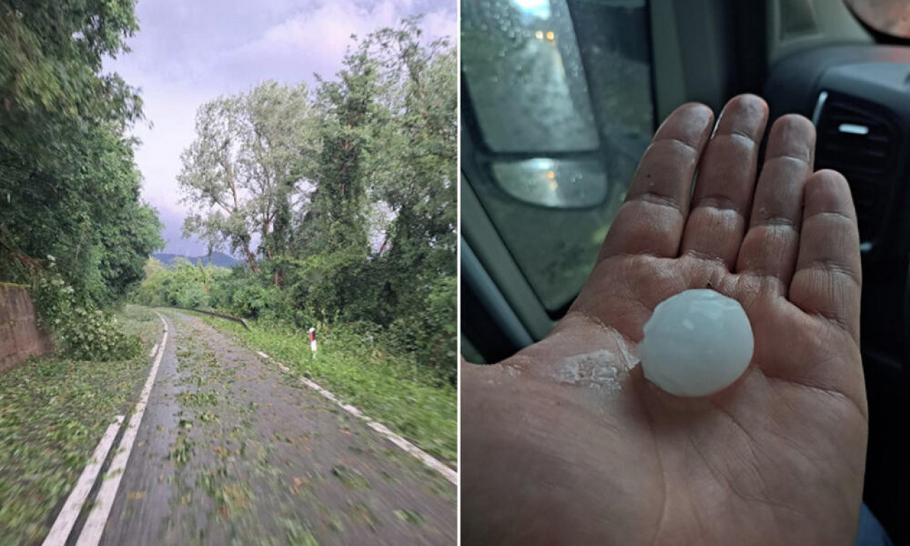 SAOBRAĆAJ U OVOM DELU SRBIJE ZAUSTAVLJEN: Vozači čiste put nakon nevremena, OLUJA ČUPALA DRVEĆE, vetar nosio sve