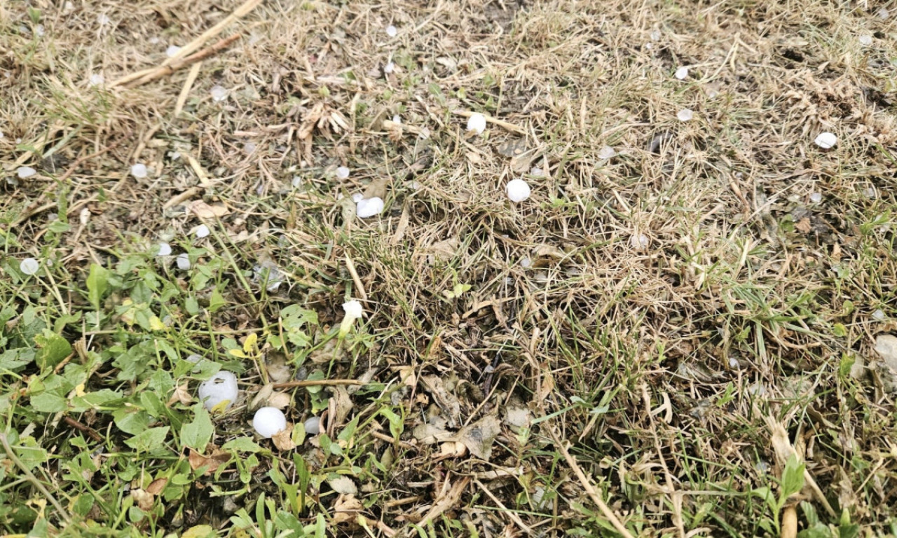 Pogledajte kakvo NEVREME se sručilo na VOJVODINU! Krupan grad tukao POLA SATA, uništio bašte i voćnjake (FOTO)