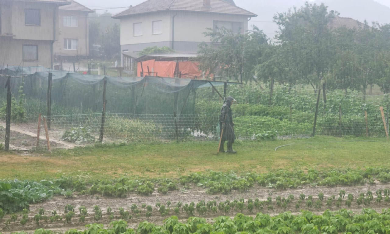 OTVORILO SE NEBO NAD ZAPADNOM SRBIJOM: Vetar izvaljuje stabla, kiša ne staje!