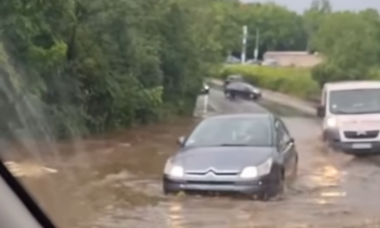 Jako nevreme pogodilo Prokuplje: Širom zemlje oborena stabla nanela VEĆU ŠTETU...