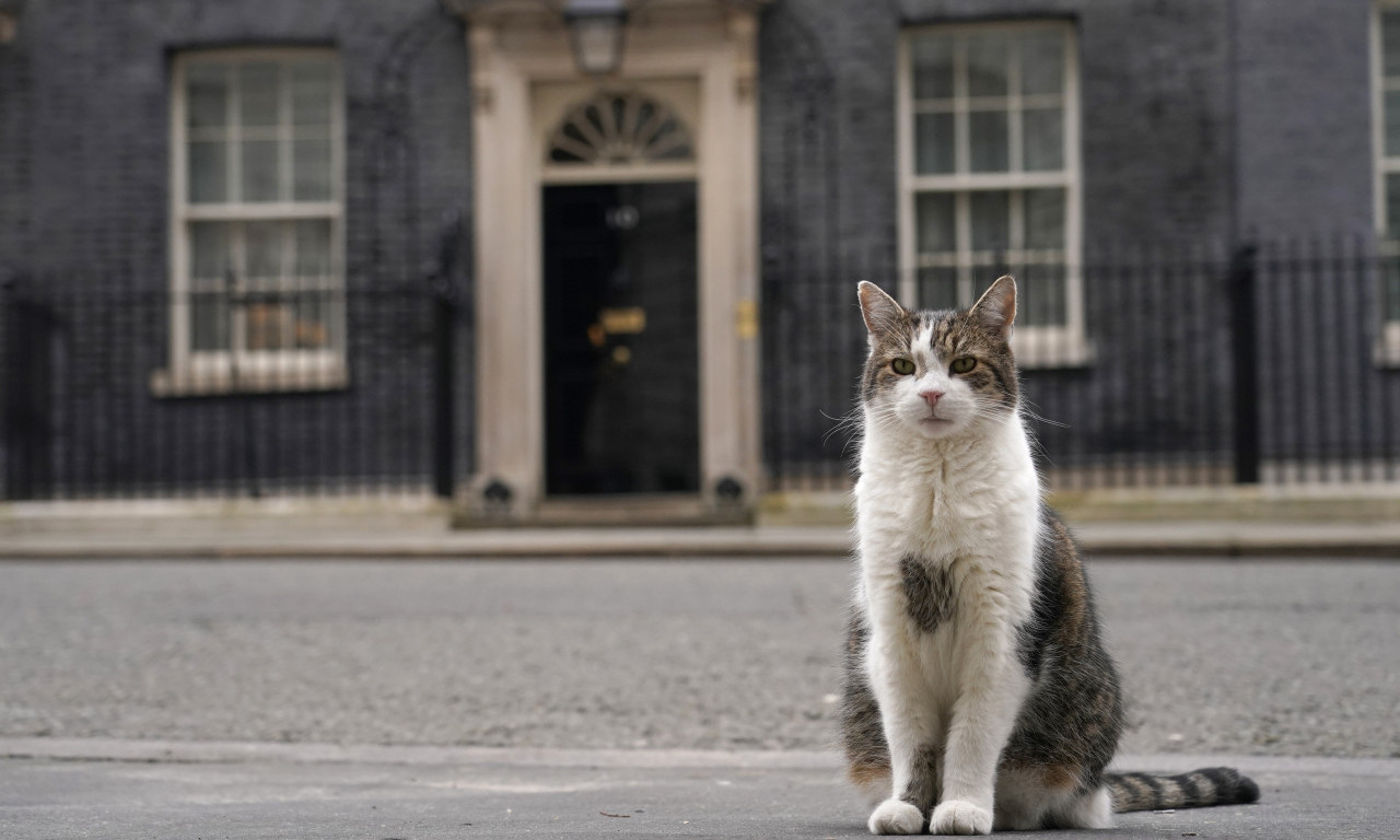 Promenilo se 6 premijera, samo je LOVAC NA MIŠEVE ostao isti! MAČAK LARI u Londonu sačekao Kira Starmera (FOTO)