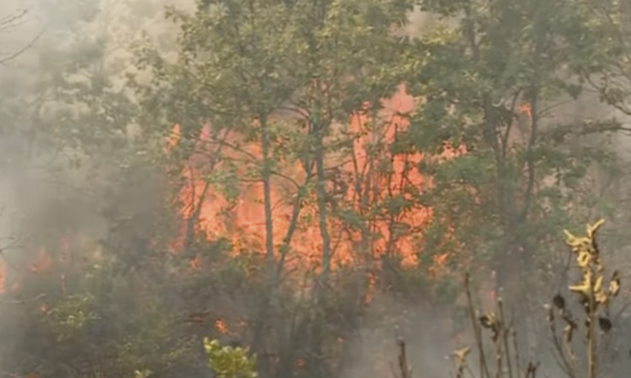 POŽAR NA DIVLJOJ DEPONIJI kod PANČEVA: Vidljivi plameni jezici i gusti dim! (FOTO)