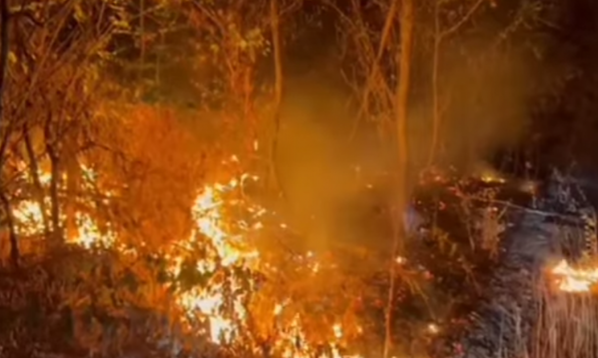 DRAMATIČNO u okolini Aranđelovca! Gori 50 hektara BOROVE ŠUME, VATROGASCI DEŽURALI tokom noći