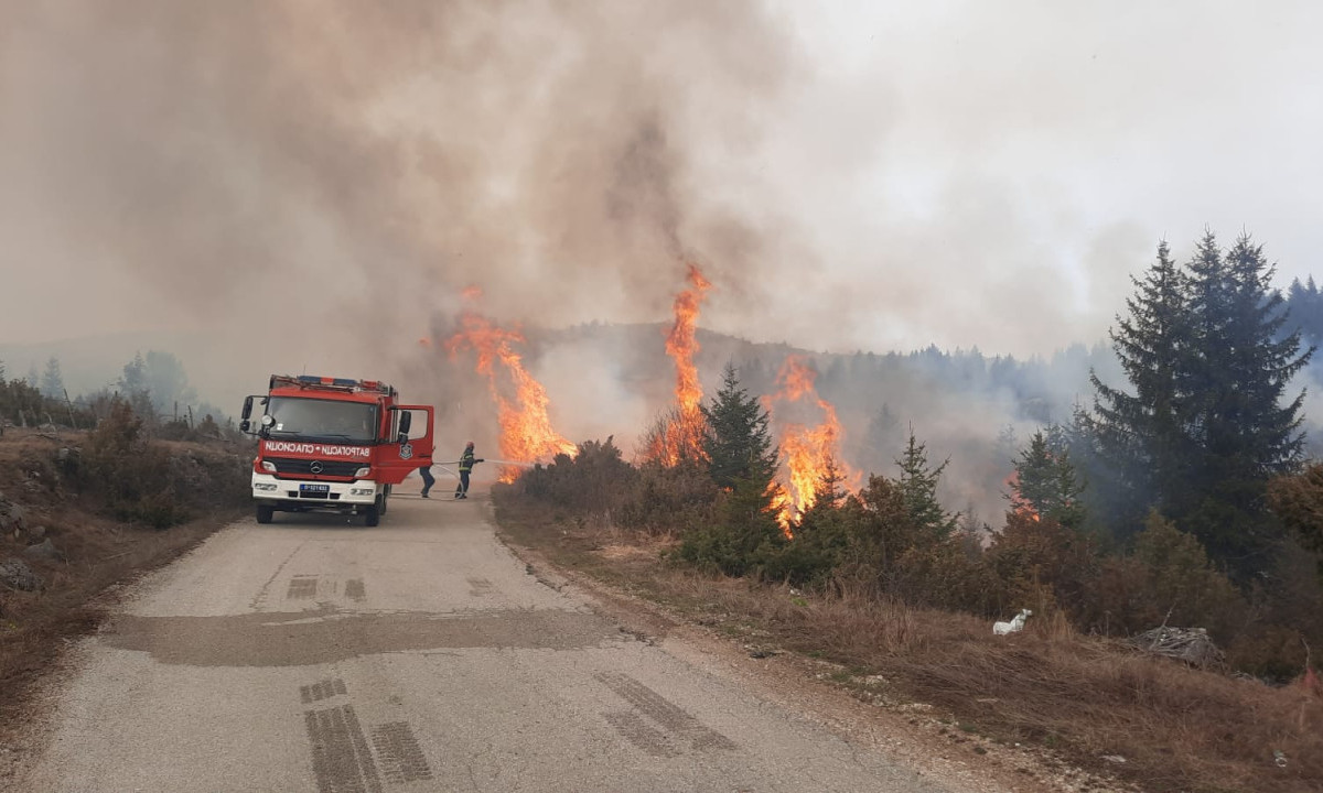 VATRA GUTA ŠUMU KOD KRALJEVA! Zbog nepristupačnog terena u pomoć stigao i HELIKOPTER MUP-a (FOTO)