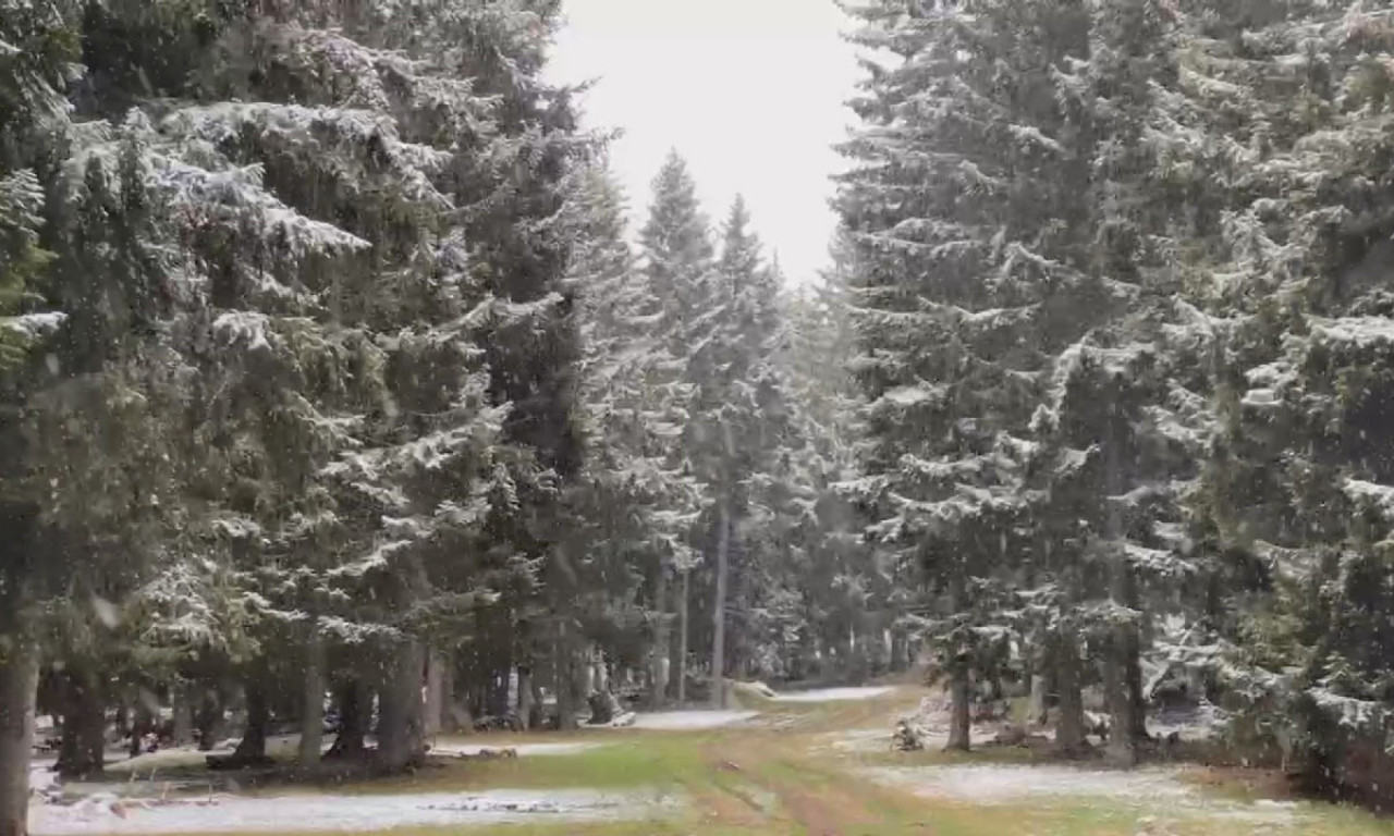 SPREMITE SE, STIŽE NAM SNEG! Meteorolog otkrio da će se zabeleti ranije nego što smo mislili