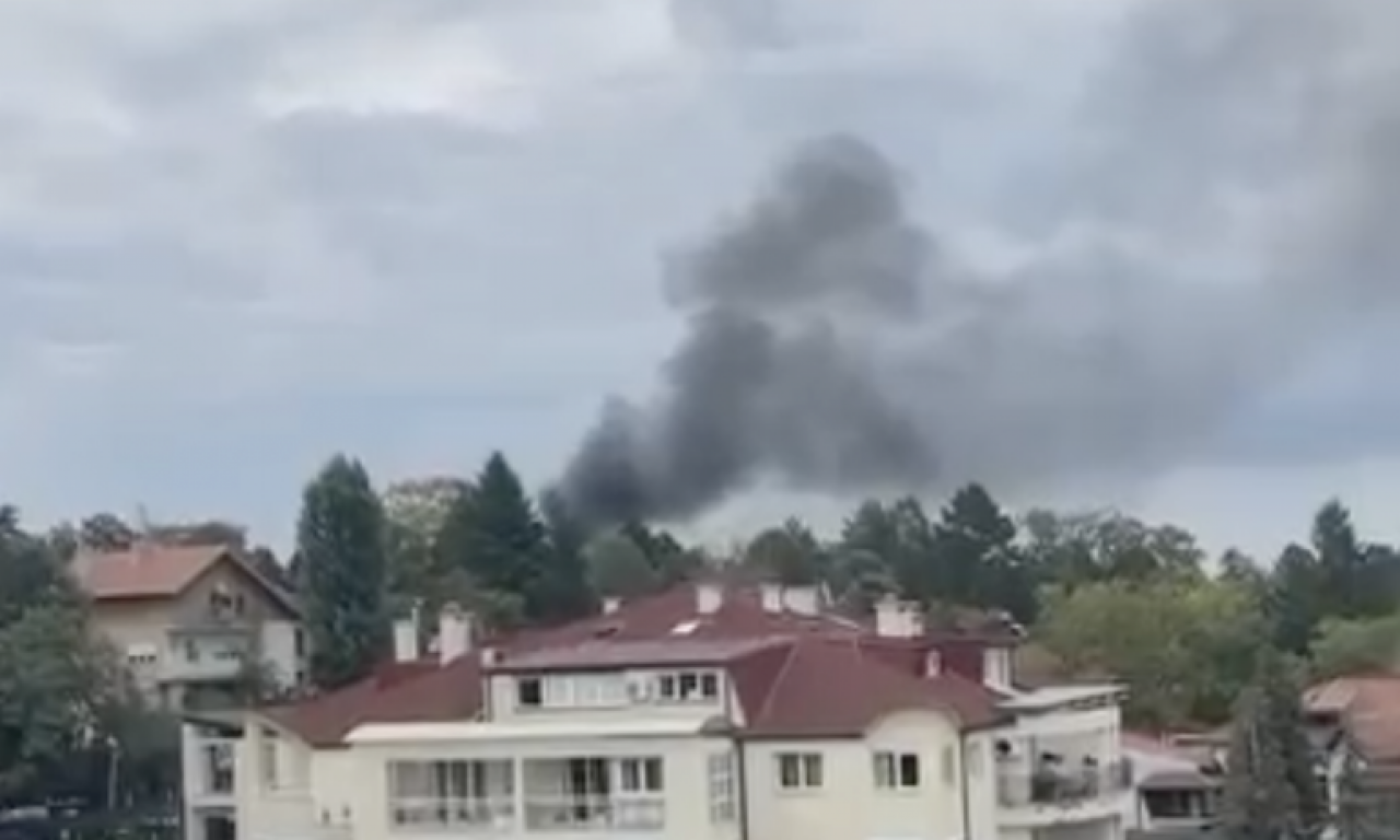 POŽAR NA SENJAKU! Gust dim se nadvio nad beogradskim naseljem, gori nedaleko od BELOG DVORA (VIDEO)