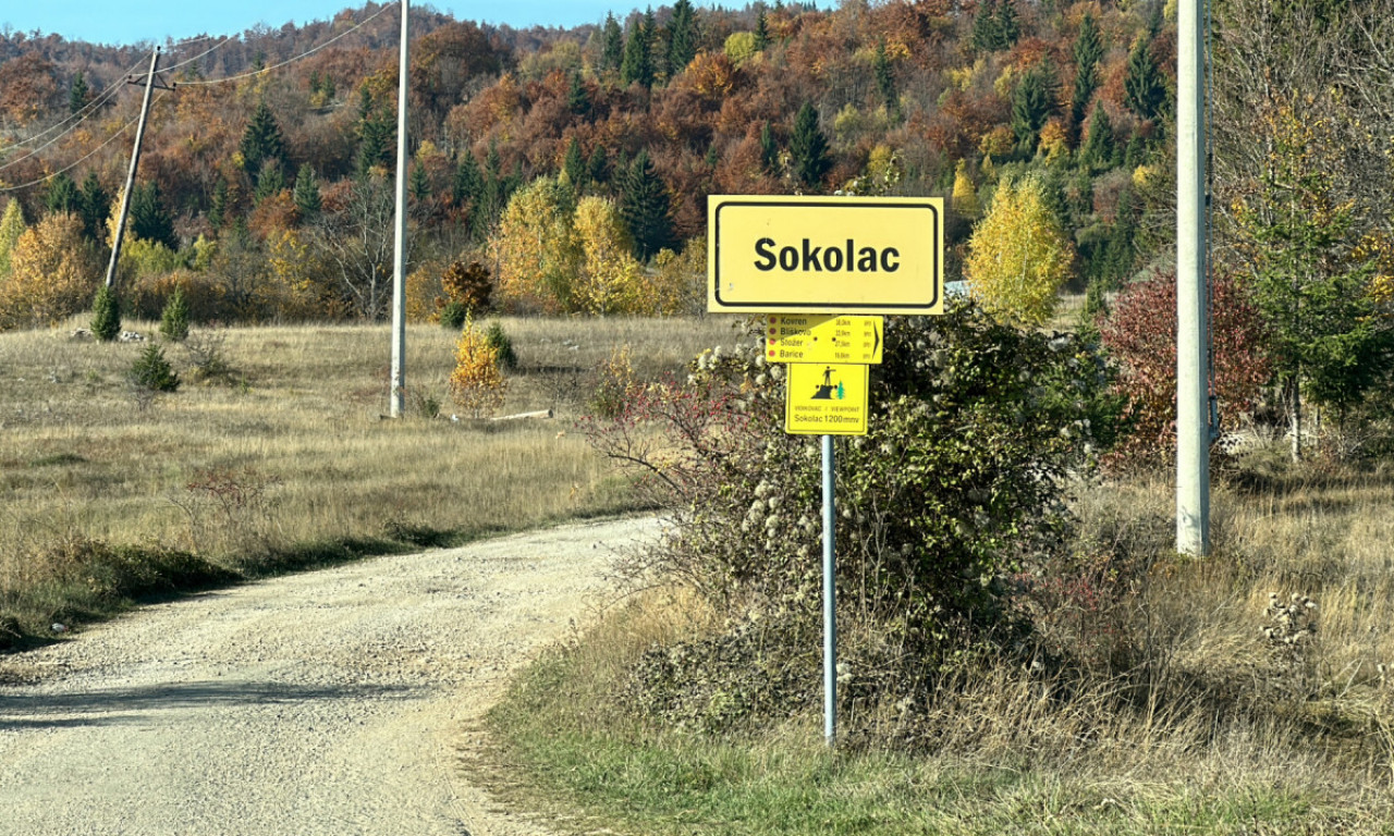 ČEKAM DA ALIJA KAŽE ZAŠTO IH JE UBIO: Brat Madžgalja posle hapšenja odbeglog ubice